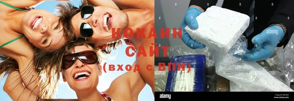 шишки Семилуки