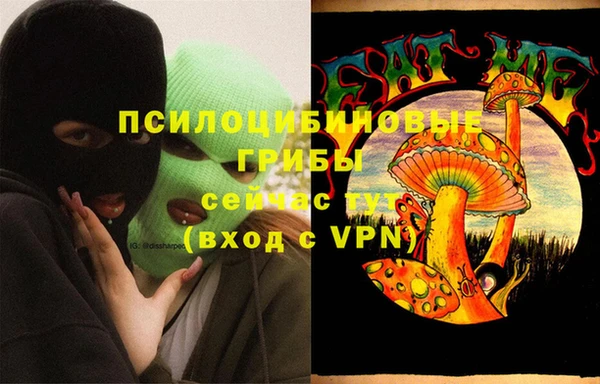шишки Алексеевка